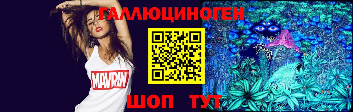 Псилоцибиновые грибы Cubensis  Вход с VPN  Кимры 